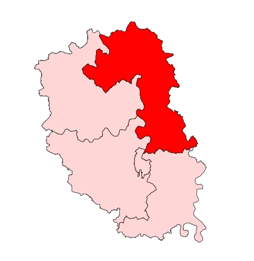 Mant Constituency Map